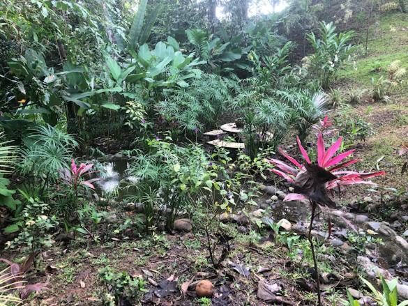 Puesta Del Sol Otel Quepos Dış mekan fotoğraf