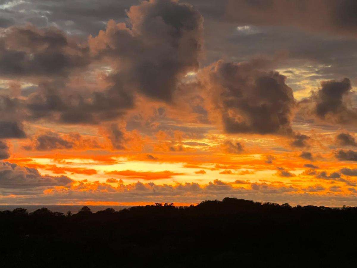 Puesta Del Sol Otel Quepos Dış mekan fotoğraf