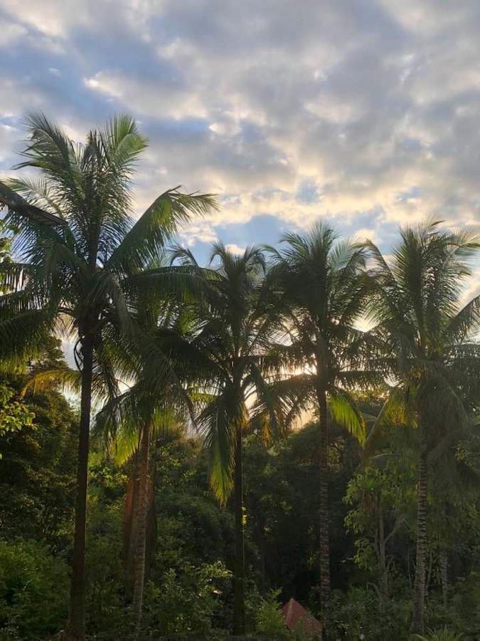 Puesta Del Sol Otel Quepos Dış mekan fotoğraf
